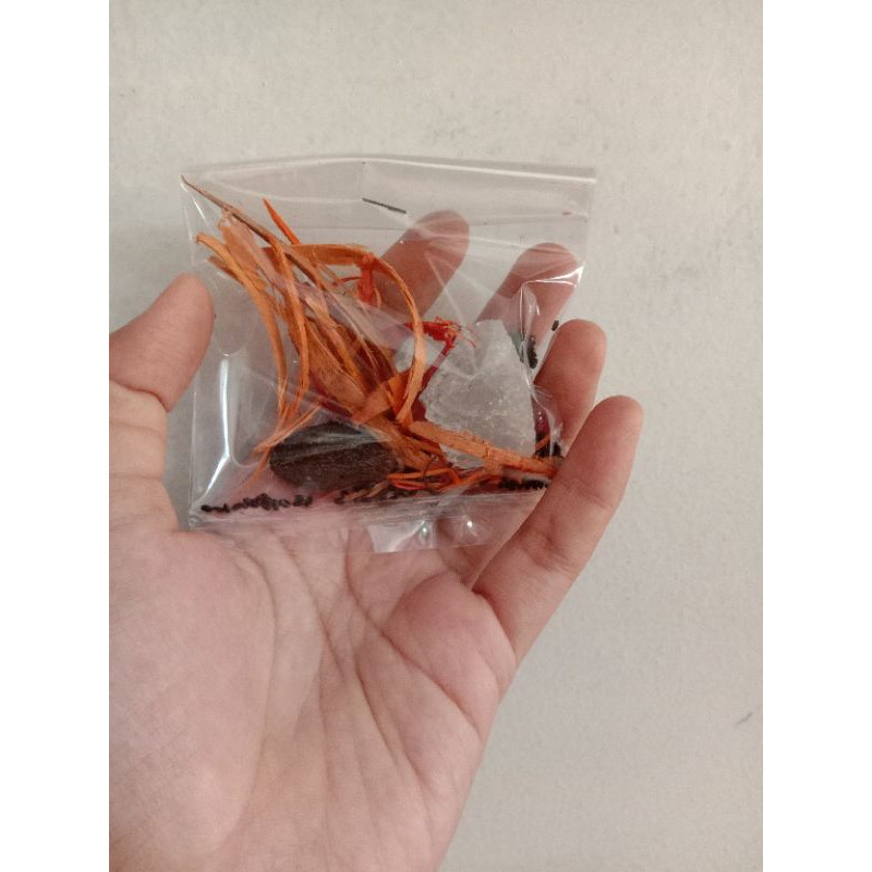 

Laris Rempah. Herbal Panas Dalam. kembang Semangkuk. Bunga Tempayang.