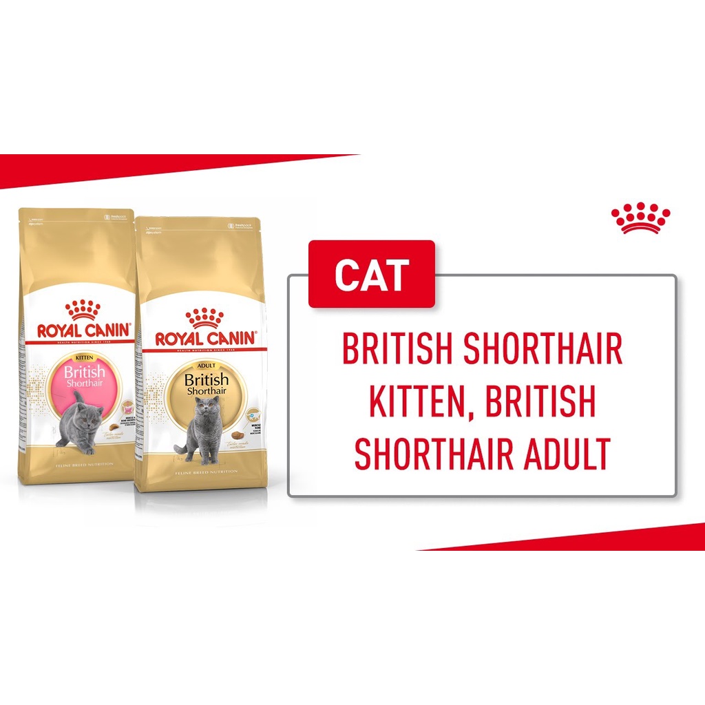 ROYAL CANIN British Shorthair Kitten Dry Cat Food 400gr  / Makanan Kucing