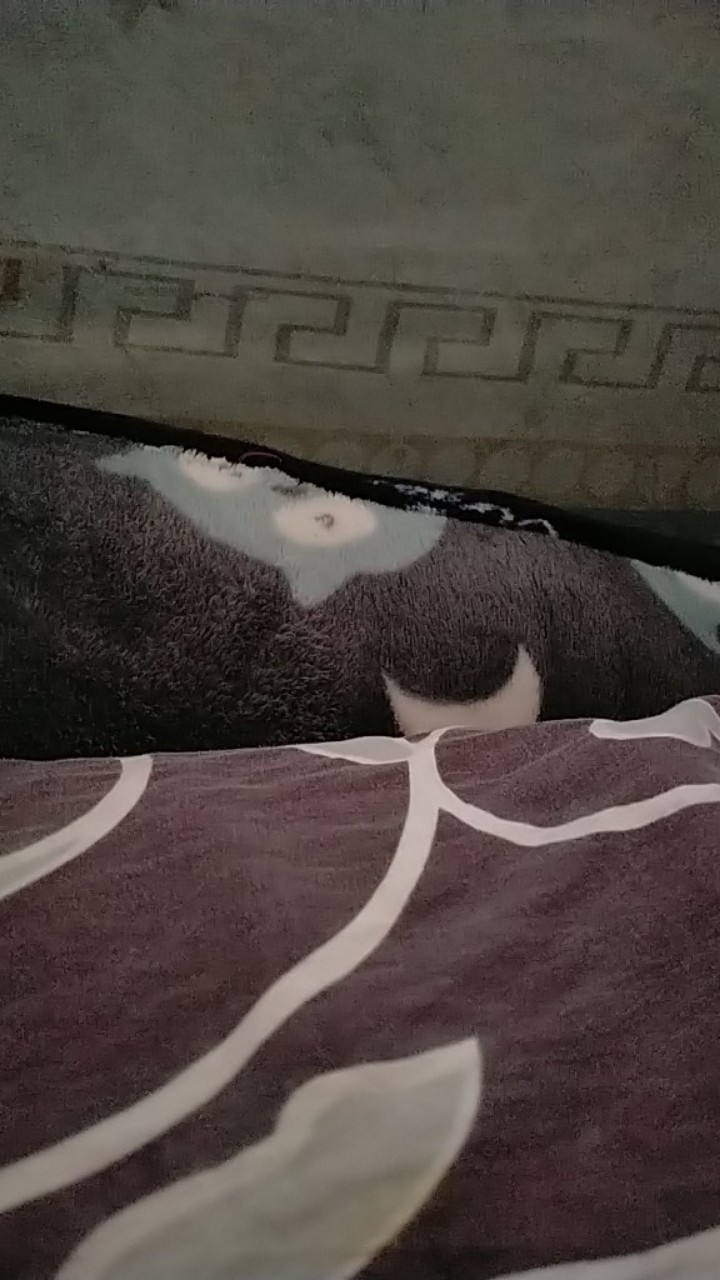 Promo Termurah Sarimbit  Keluarga | Nayaka Batik-couple Annabel Pinguin Tille Lengan Panjang