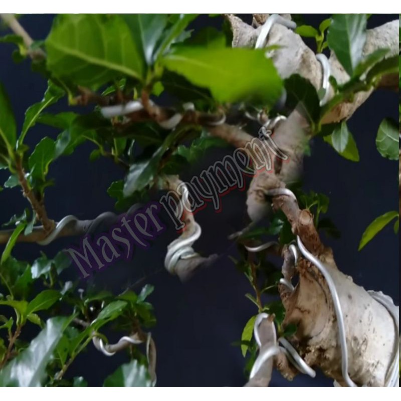 Kawat Bonsai Putih Doff 2mm Eceran Harga Per Meter