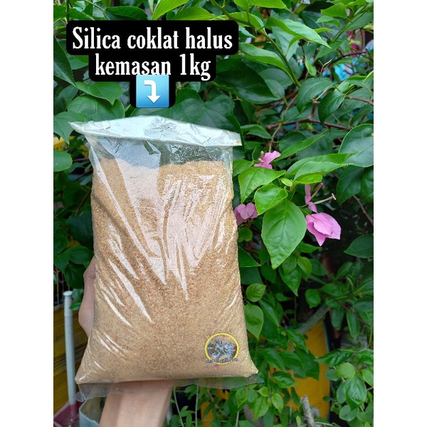 Pasir Silika coklat kasar /Silika/ pasir air terjun Aquascape