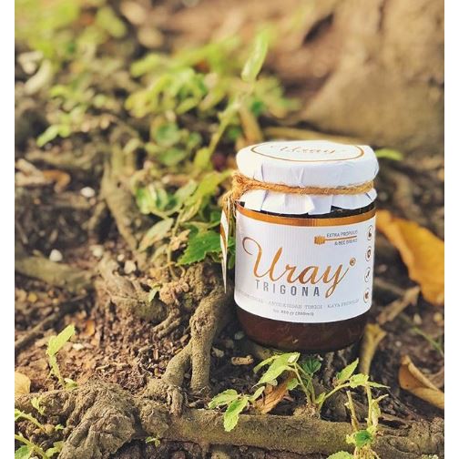 

Madu Uray Trigona [250 mL]