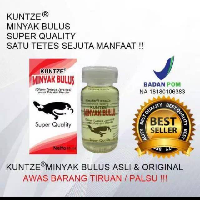 KUNTZE# MINYAK BULUS