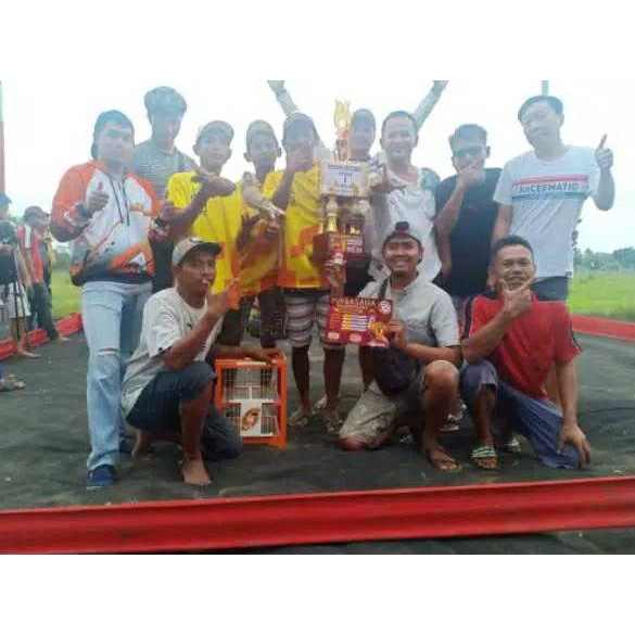 RJB jamu merpati RJB Merpati Tinggi kolongan isi 100 BUTIR