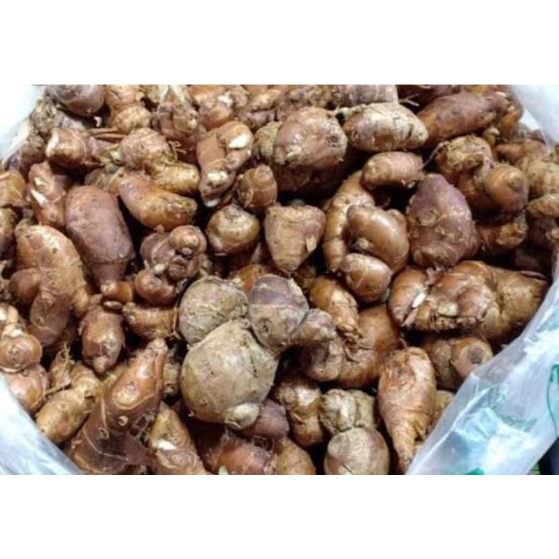 

KENCUR PER 100 GR SAYUR SEGAR PALEMBANG