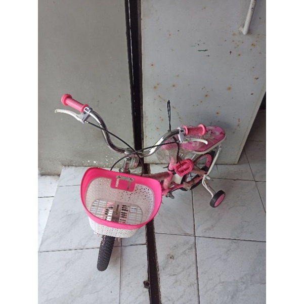 sepeda anak cewe evergreen