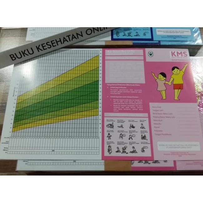 KARTU MENUJU SEHAT (KMS ANAK BALITA) | KEBIDANAN KODE 1393