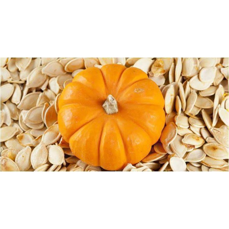 Benih/Biji labu parang