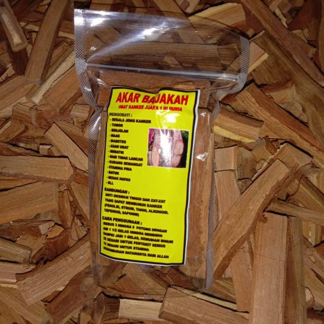 

Bajakah herbal