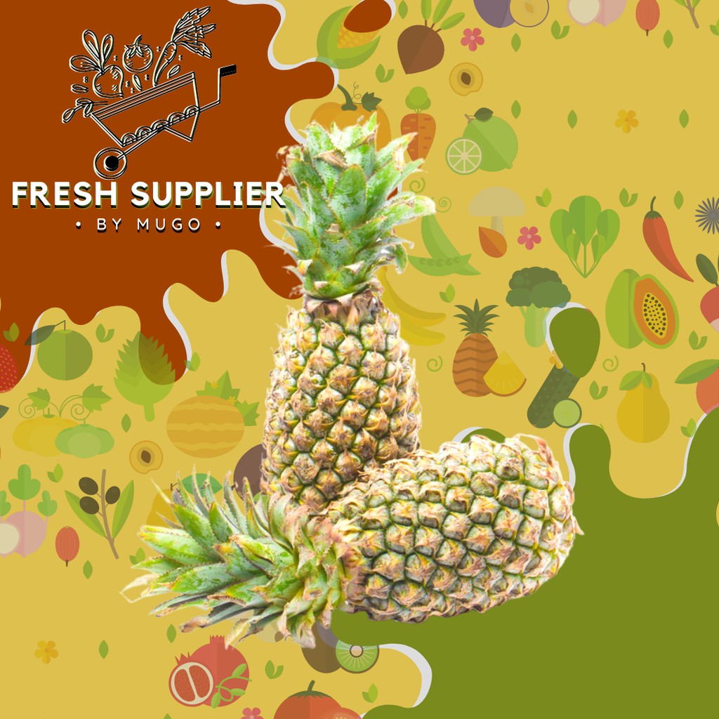 

Nanas Palembang 1 Pcs Fresh Supplier