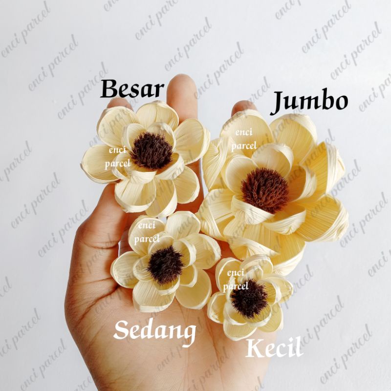 Bunga Klobot Jagung Matahari