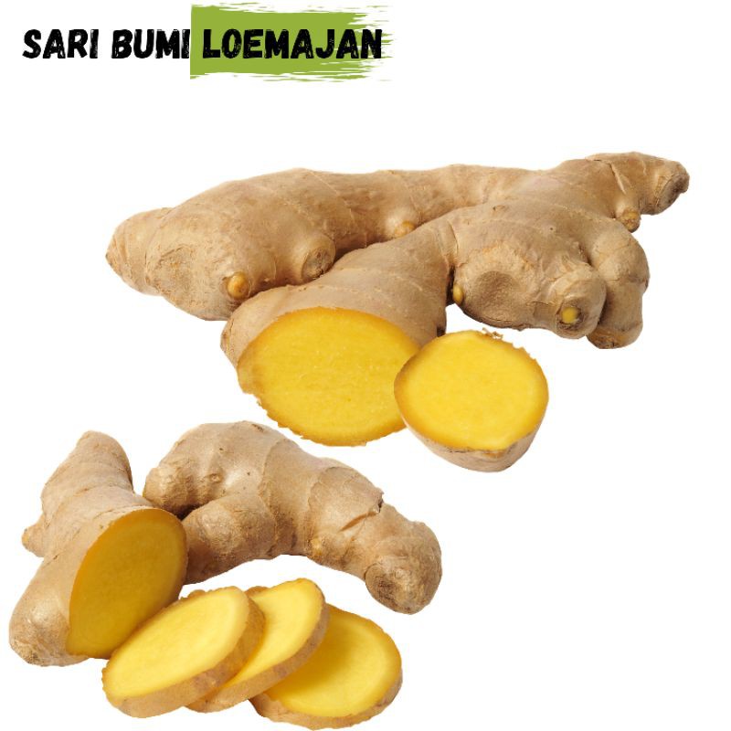 

Sari bumi loemajan jahe 500 gram
