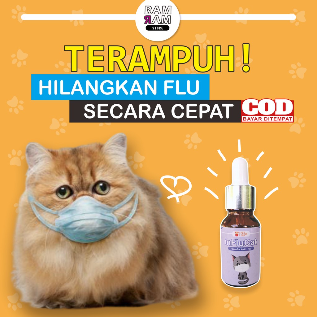 INFLUCAT OBAT FLU KUCING FLUCAT OBAT BATUK KUCING COLDY CAT DOXY CAT