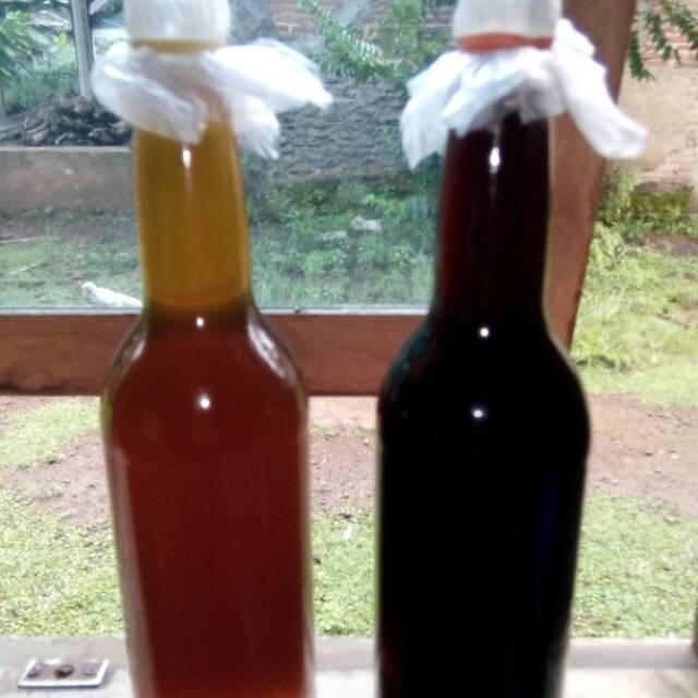 

Madu hitam liar