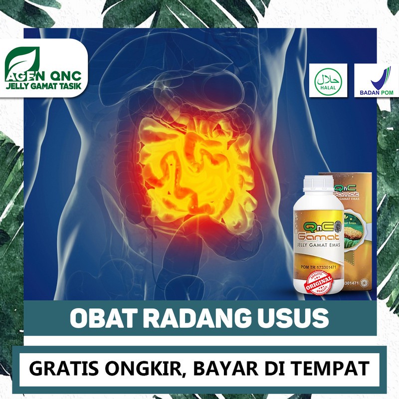 

Obat Radang / Nyeri Usus, Usus Buntu Usus Besar Anak & Dewasa QnC Jelly Gamat Alami Bisa COD