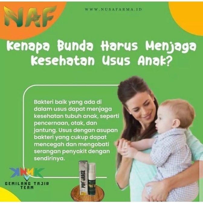 PRO GRACE Nutrisi Herbal Nusantara 1 Box Isi 3 | Pro Grace Herbal