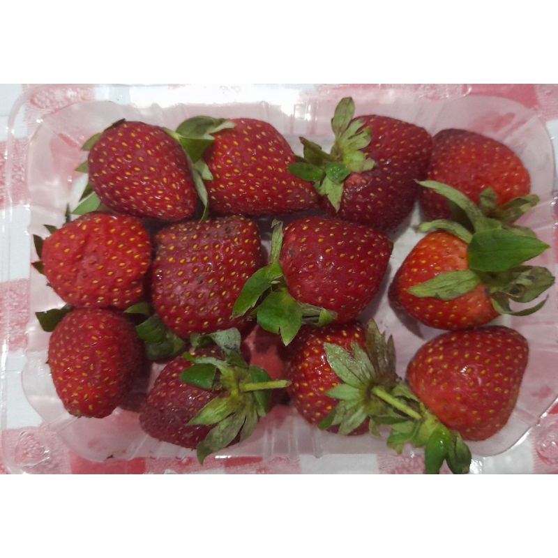

strawberry / stroberi segar 1 pack