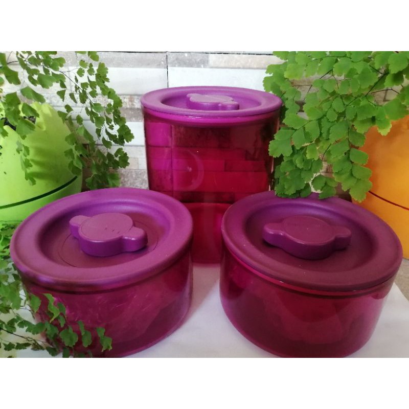 Premiere Collection tupperware ungu set / toples tupperware