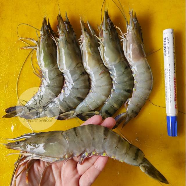 

Udang Pancet Uk Besar Sz 20-25