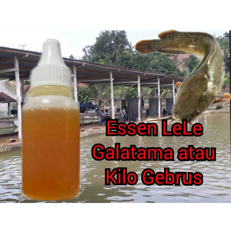 Essen mancing ikan Lele esen ikan lele ampuh