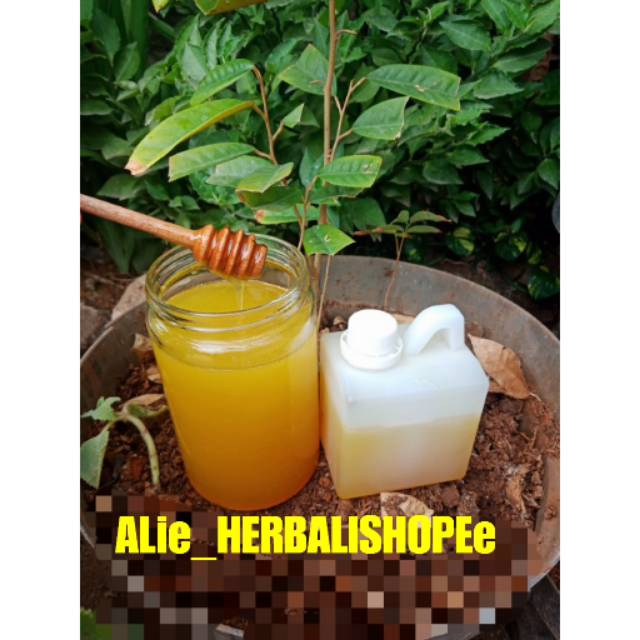 

MADU ASLI MURNI KALIANDRA 500gr ORIGINAL