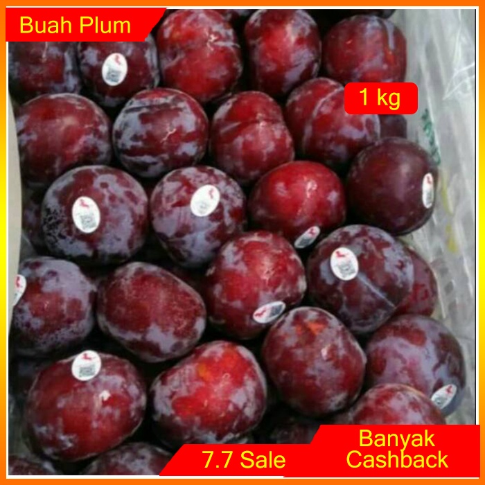 

Buah Plum Segar 1 kg