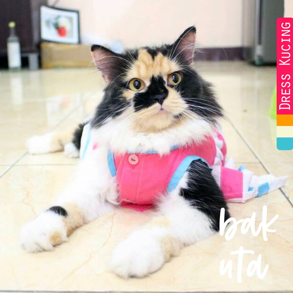 Dress pinky blue lucu untuk kucing dan anjing / baju kucing murah meriah size S M L XL