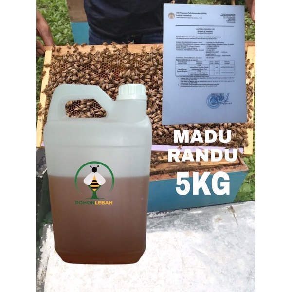 

madu randu 5 kg 100% hasil lab asli(raw honey) original madu nusantara madu indonesia