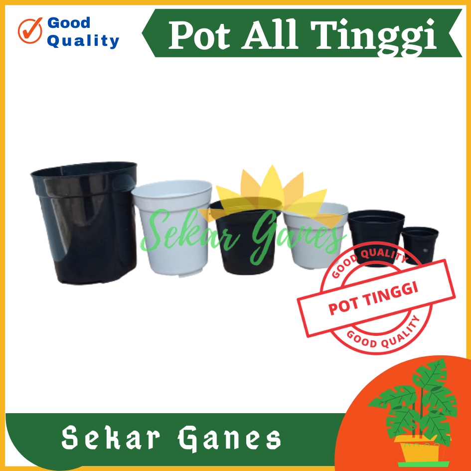 Sekarganes Pot Tinggi 8 10 12 15 18 20 25 Hitam Putih Pot Pirus Tirus Putih 10 12 13 15 18 20 21 24 25 Pot Tinggi Plastik Putih Besar 20 30 50 Cm Besar Murah