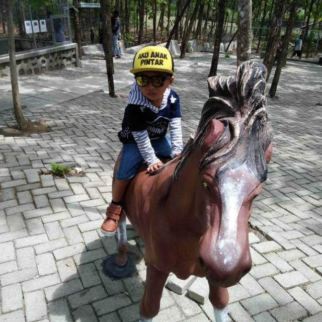 shofiyahwinayatinurfaizin