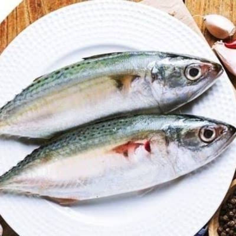 

ikan kembung Banjar Segar - 1 kilogram