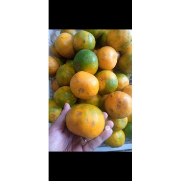 

JerukManis