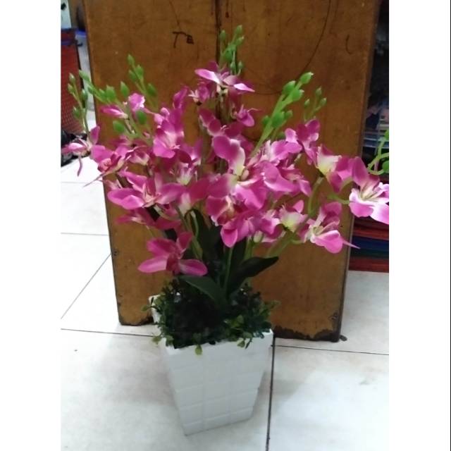 Anggrek +pot kayu