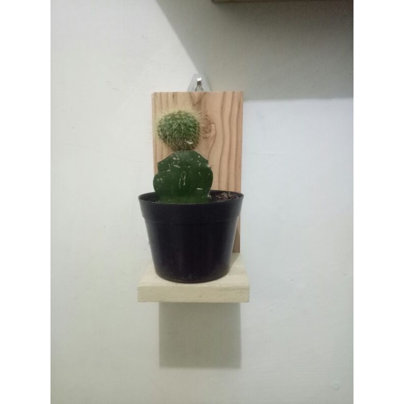 RAK DINDING BUNGA//RAK DINDING KAYU