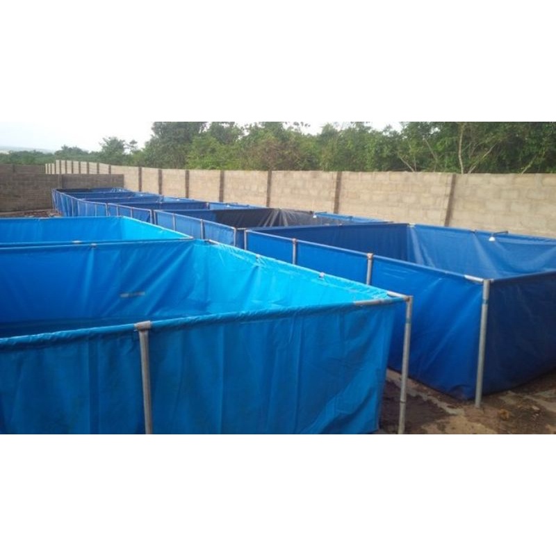 terpal kolam kotak orchid