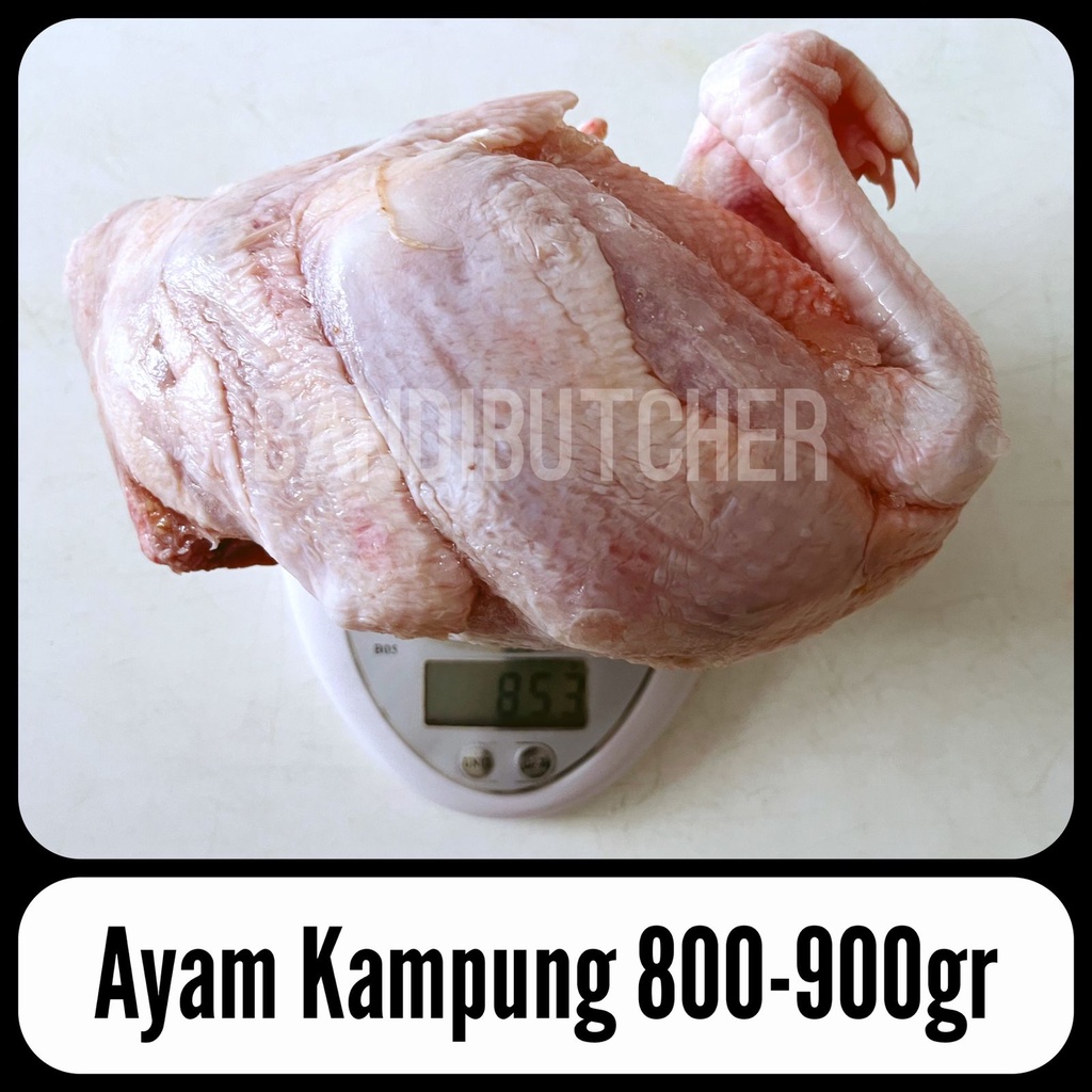 Daging Ayam Kampung Sehat Segar - Ayam Kampung Frozen Size 8-9