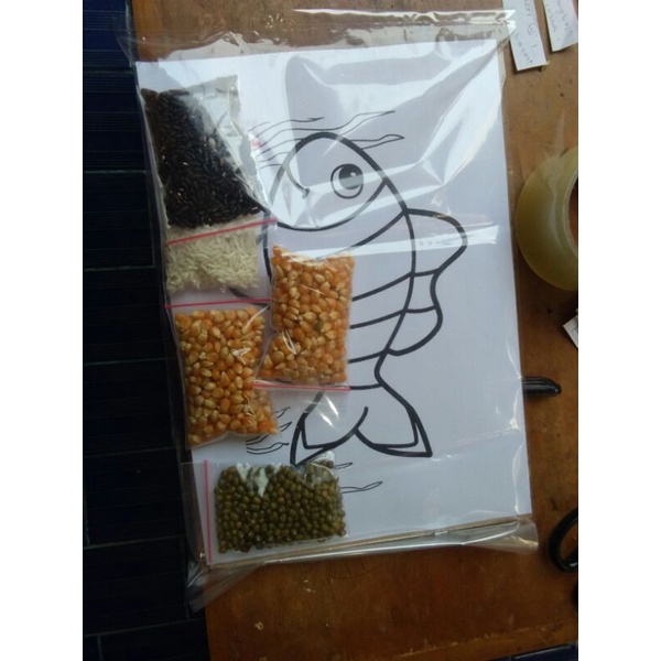 

Ay00! kolase biji bijian ikan nemo tempel sendiri