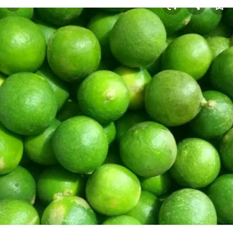 

jeruk nipis segar 250grm