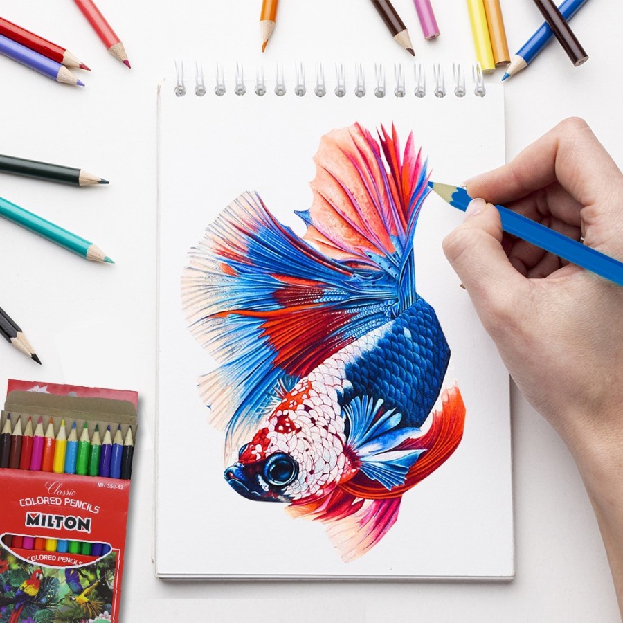 KeiKei Color Pencil / Pensil Warna Montana TH-350 / 12 Warna