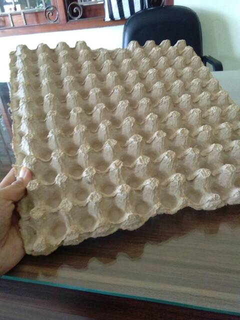 Helle_Bore Egg Tray Karton Puyuh