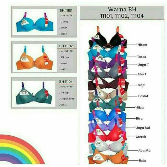 TERLARIS BH Bra Kawat 3 4 CUP Sorex Rainbow 11102 BEST SELLER