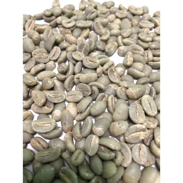 

kopi gayo jenis specialty