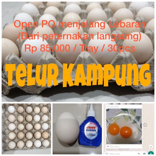 

Telur Kampung Dari Peternakan Langsung 30 Butir (PO)