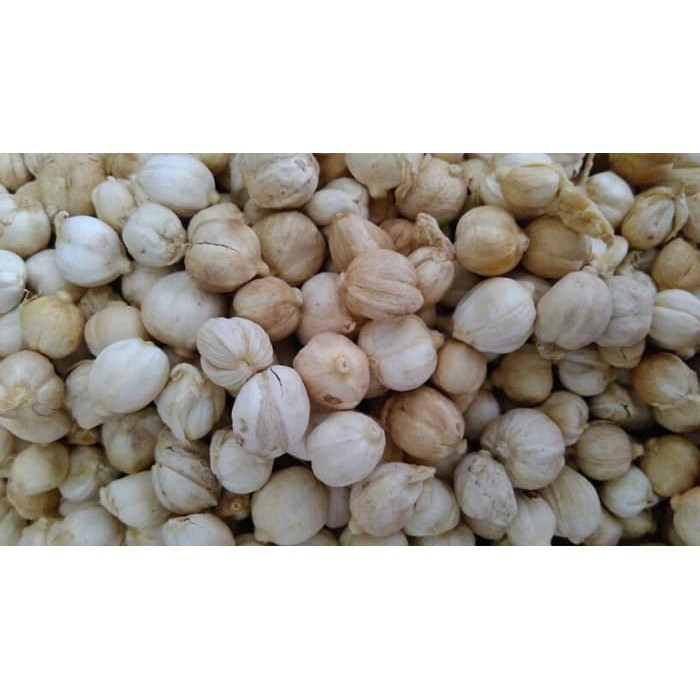 

Kapulaga 35gram / cardamon / kapol lokal / Kapolaga