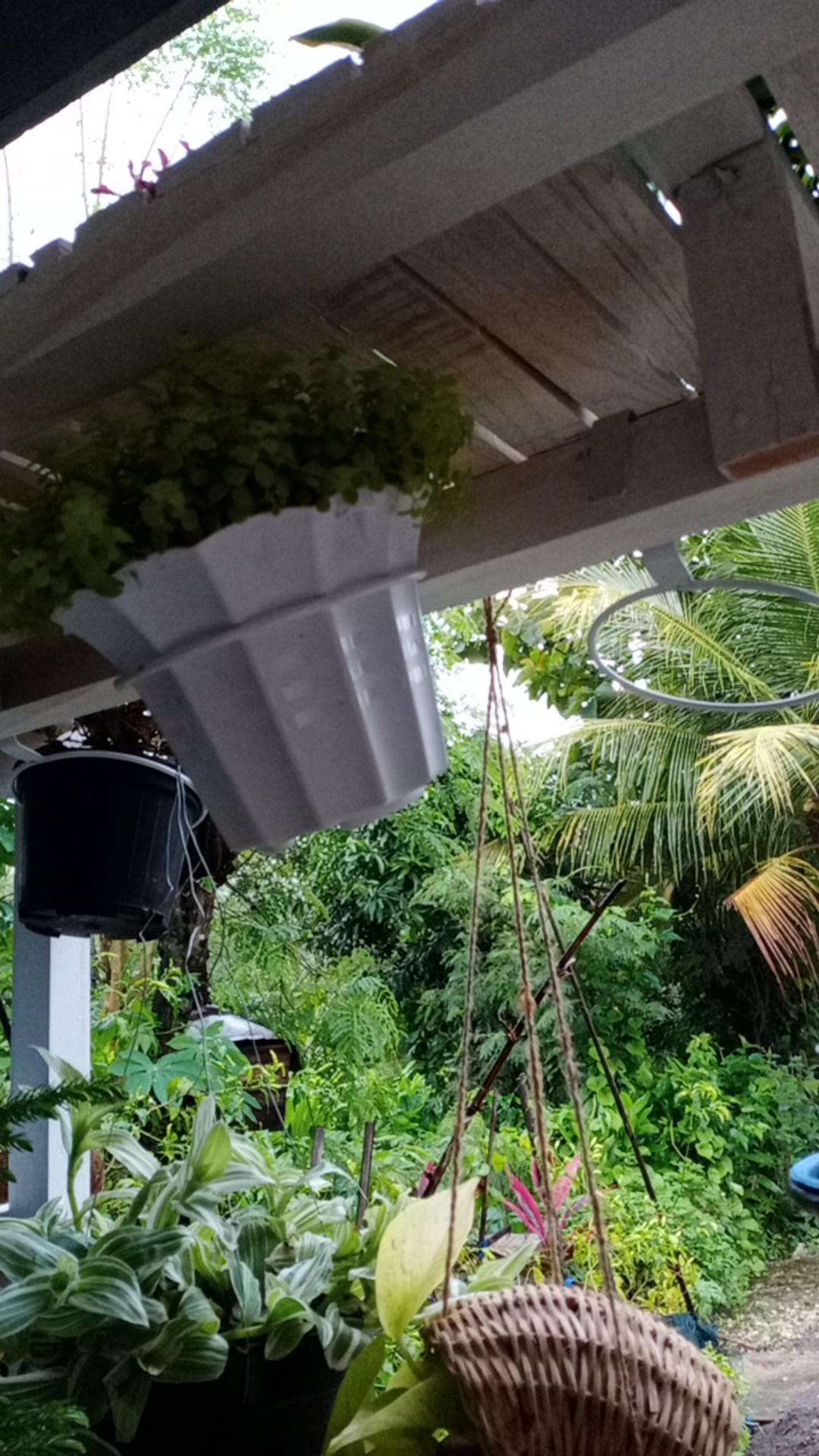 Produsen Gantungan Pot Pagar Gantungan Besi, Ring Cantol Pagar D12