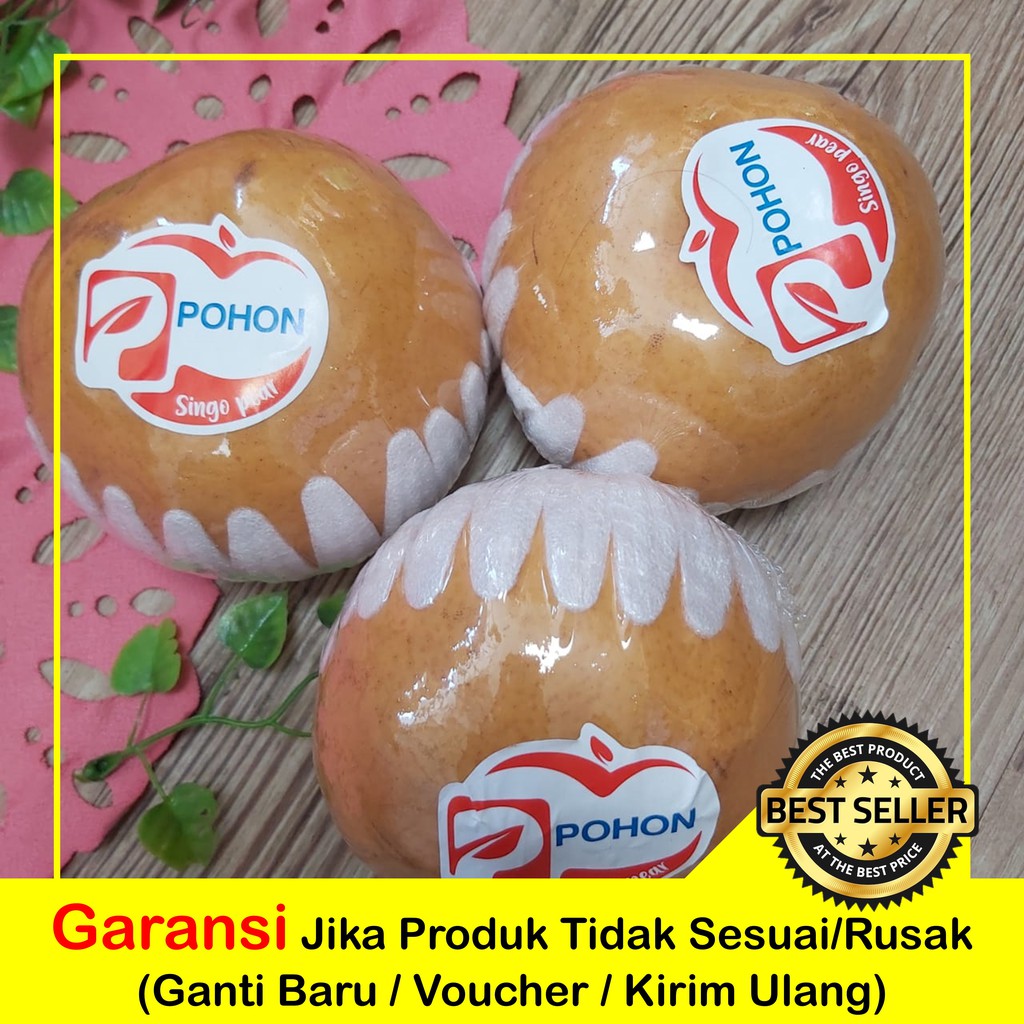 

BUAH PEAR SINGO POHON JUMBO 1KG BELIDIKITA