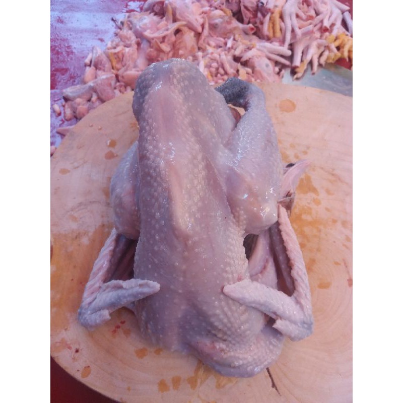

Ay00! Ayam Kampung Segar 1100 Gr Halal Potong
