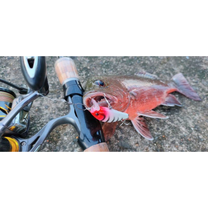 Lure Ultralight Mangrove Jack