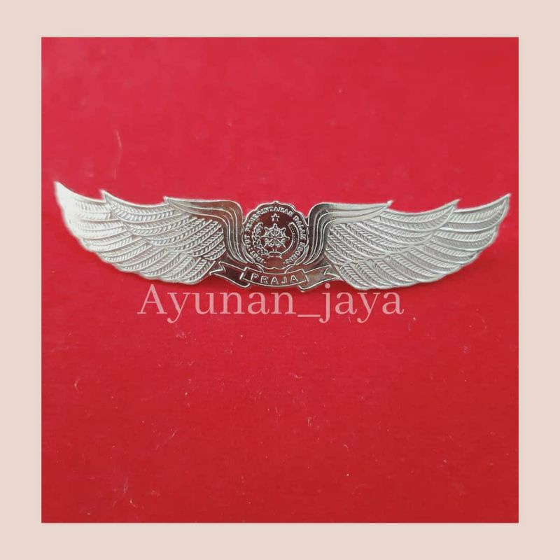 Pin Wings PDH untuk Praja IPDN by Ayunan_Jaya
