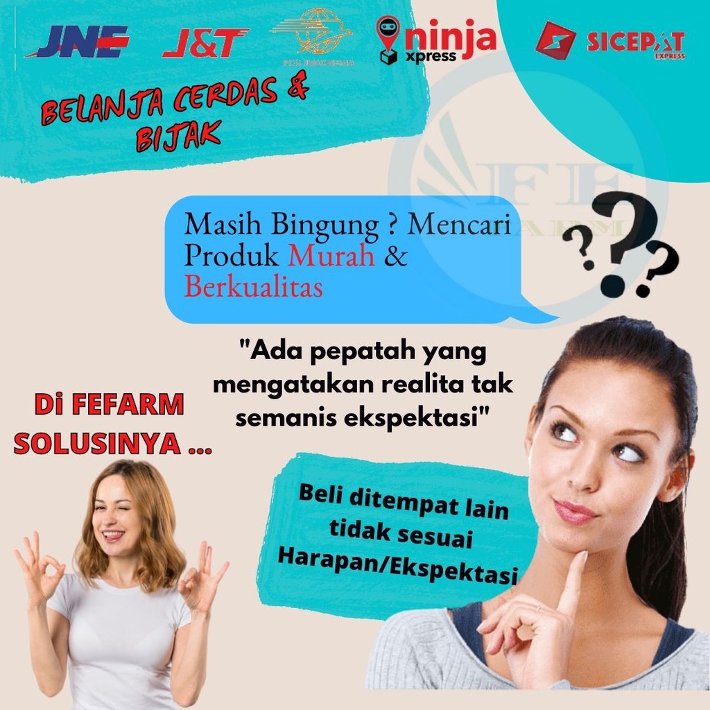 KAPSUL ECER OBAT REPTIL OBAT PILEK PNEMONIA PENAMBAH NAFSU MAKAN REPTOBOOST